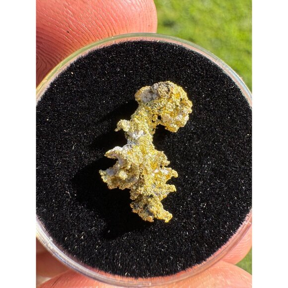 California Native Gold Crystal - 0.83 grams - Picture 7 of 9